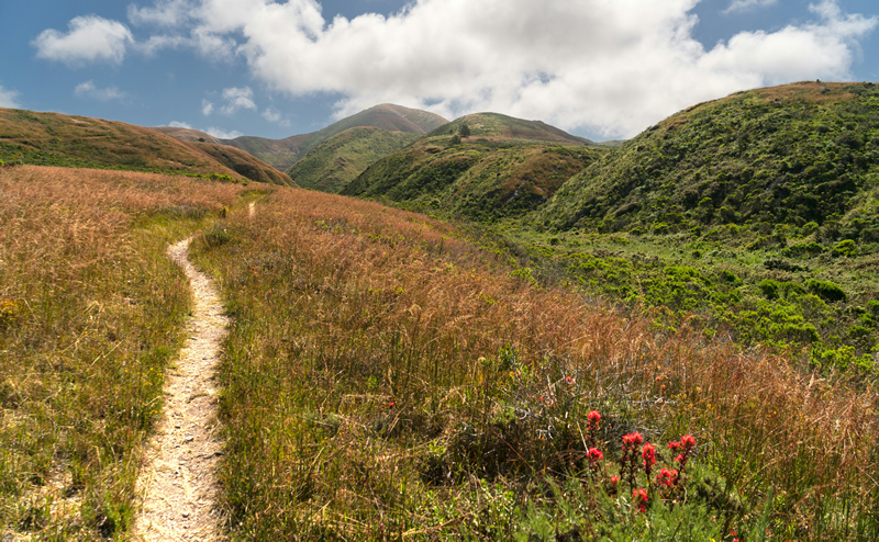 Things to do in San Luis Obispo