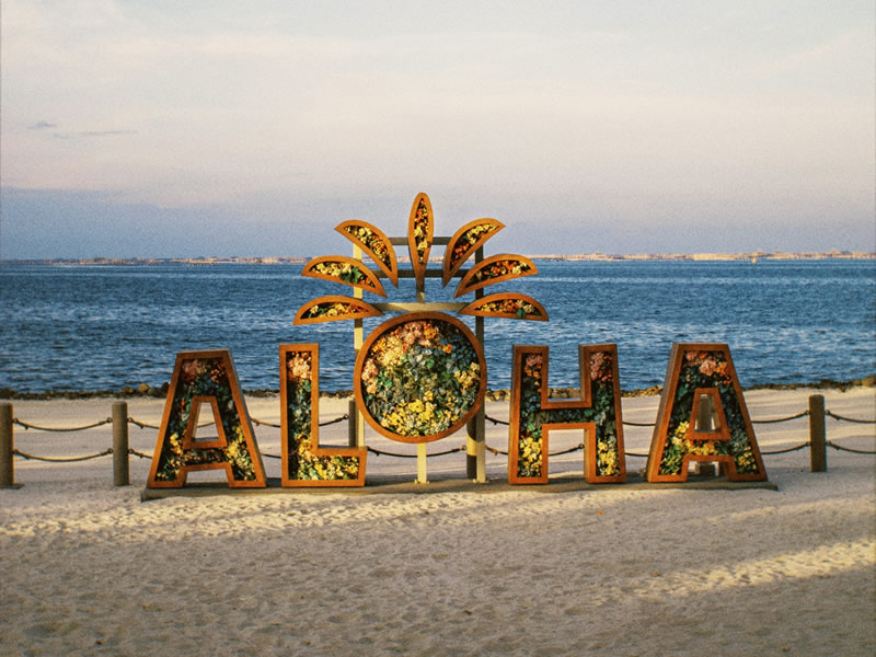 Aloha Beach Festival Ventura CA Aloha Beach Festival Ventura CA