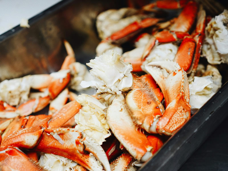 Best Restaurants in Pismo Beach, California